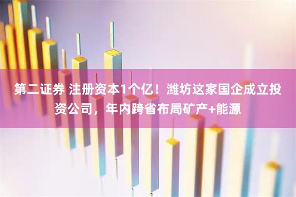 第二证券 注册资本1个亿！潍坊这家国企成立投资公司，年内跨省布局矿产+能源