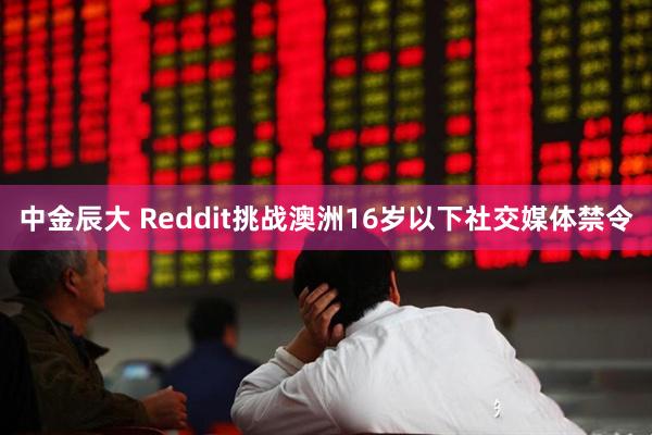 中金辰大 Reddit挑战澳洲16岁以下社交媒体禁令