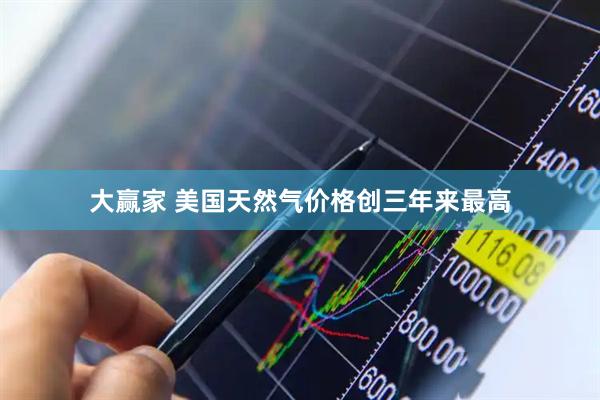 大赢家 美国天然气价格创三年来最高