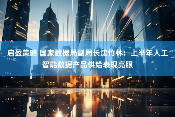 启盈策略 国家数据局副局长沈竹林：上半年人工智能数据产品供给表现亮眼